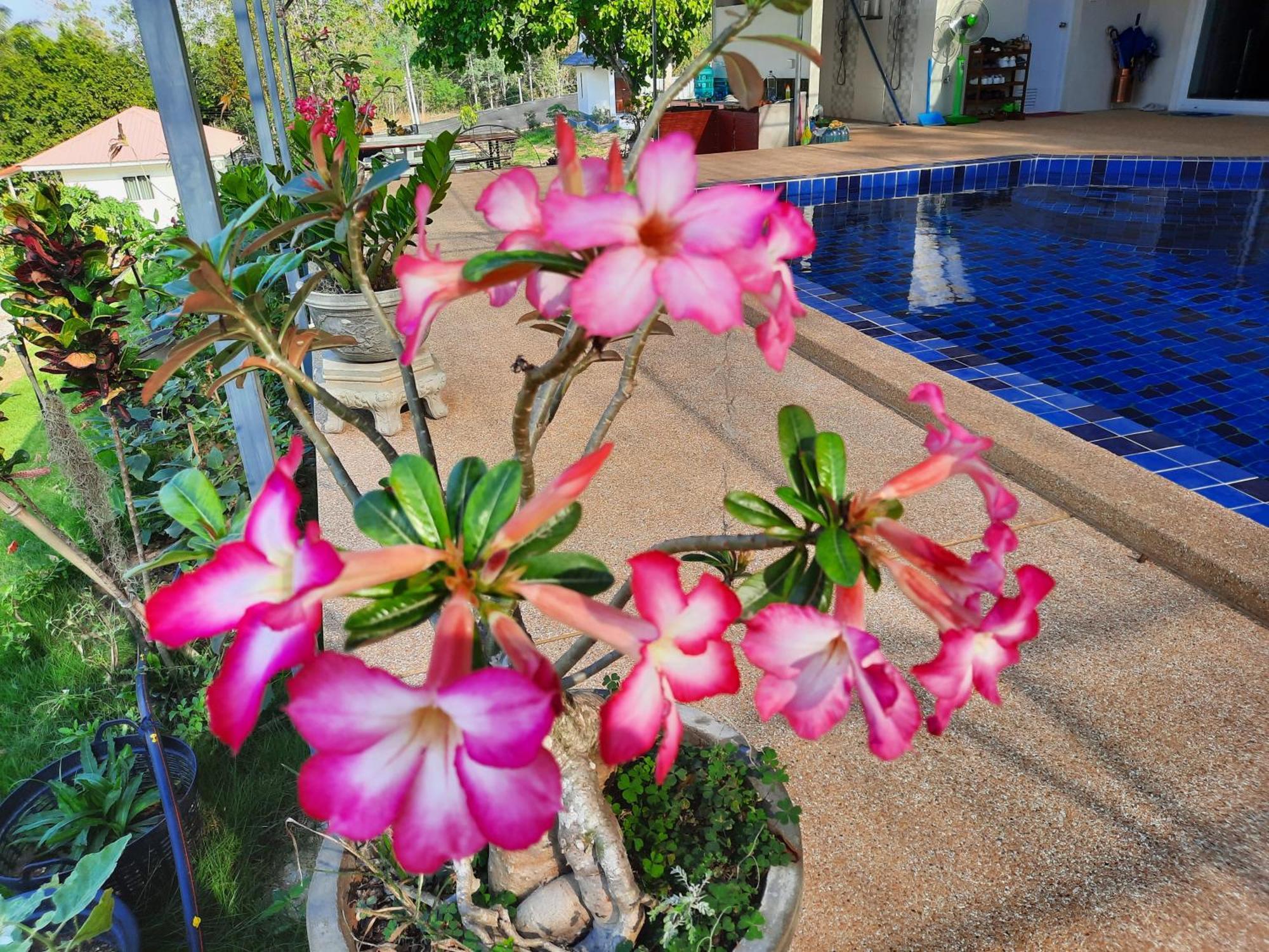 Lemax Homestay And Thailand Tours Фетчабури Екстериор снимка